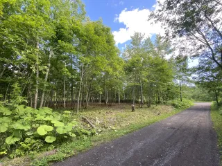 Kondo_Niseko_Land_1